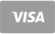 Visa kartes maksājumu ikona